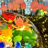 16階イルミ×25階会議室でキラキラな冬を！